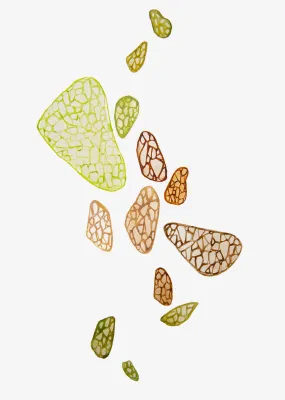 Abstract Wall Art Print 'Garden Pebbles',  Modern Abstract, Large Abstract Art, Abstract Wall Decor