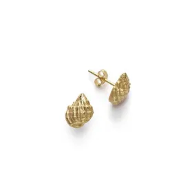 ANNI LU - CONCH SHELL EARRINGS (PAIR) - GOLD