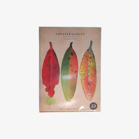 Pop out Wall Art Set - Pōhutukawa Leaves